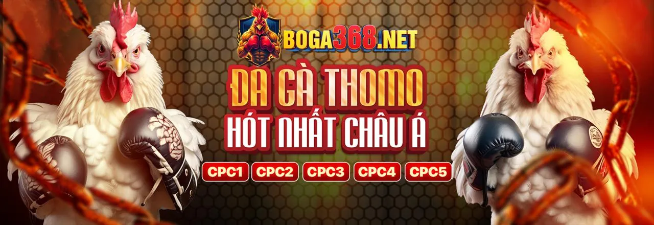 Cá cược thể thao 66ff