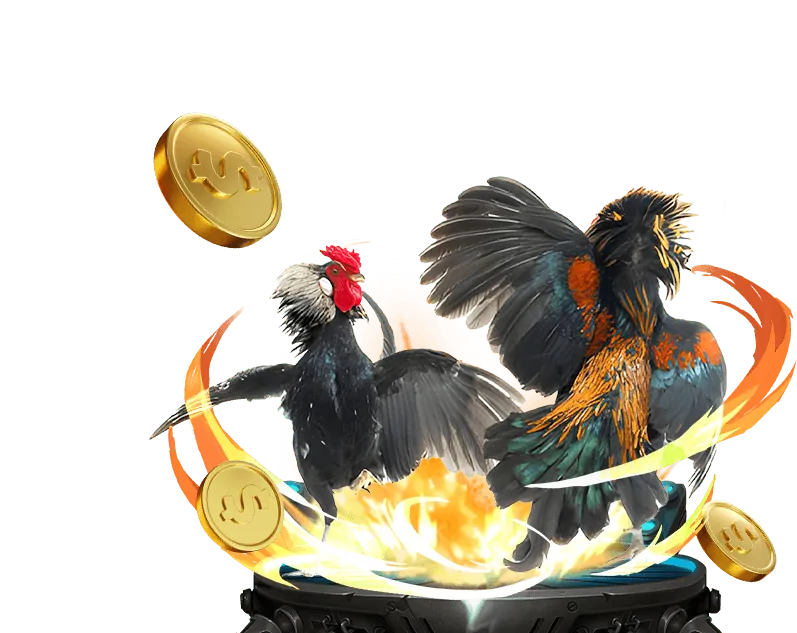 Hướng dẫn nền tảng 66ff